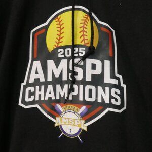 Gildan Heavy Blend 2025 AMSPL Softball Champions Hoodie - Medium